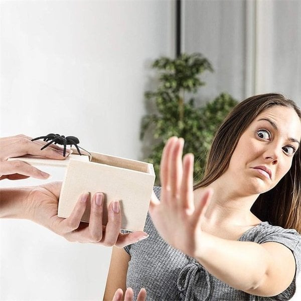 Super Funny Crazy Prank Gift Box Spider 🎁Special Gifts for Friends/Family!